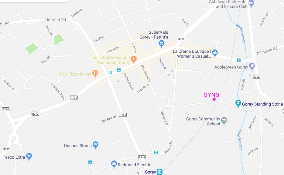 Location of Gorey Youth Needs Group